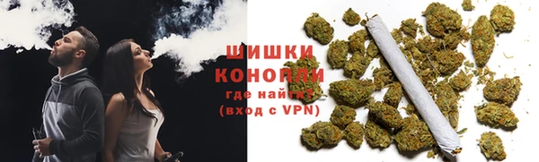 мдпв Пересвет
