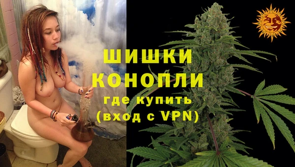 мдпв Пересвет