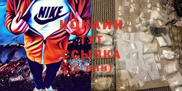 мдпв Пересвет