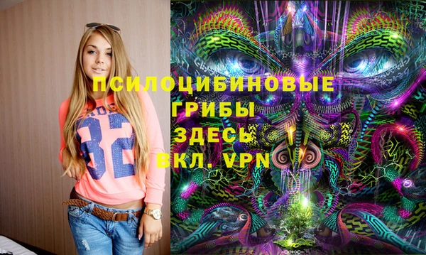мдпв Пересвет